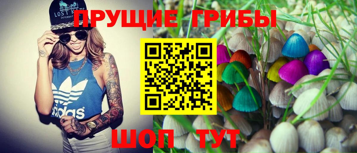 Псилоцибиновые грибы ЛСД  Вход с VPN  Курчатов 