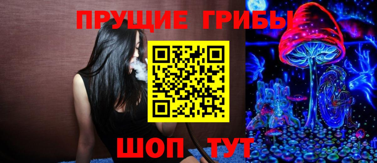 Псилоцибиновые грибы GOLDEN TEACHER Курчатов